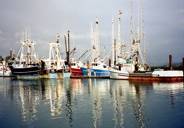 Fishing boats - fishing to catch fish to feed farmed fish is putting pressure on wild populations. 